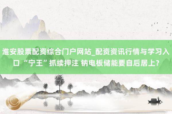 淮安股票配资综合门户网站_配资资讯行情与学习入口 “宁王”抓续押注 钠电板储能要自后居上？